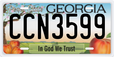 GA license plate CCN3599