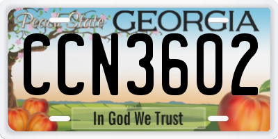 GA license plate CCN3602