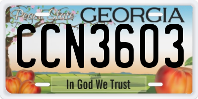 GA license plate CCN3603