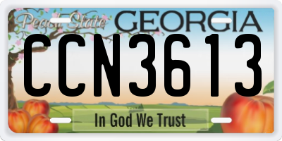 GA license plate CCN3613