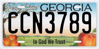 GA license plate CCN3789