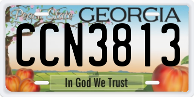GA license plate CCN3813