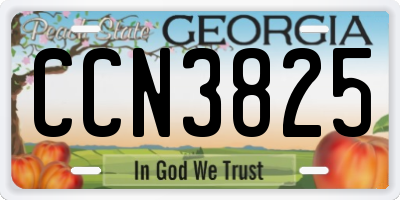 GA license plate CCN3825