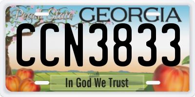 GA license plate CCN3833