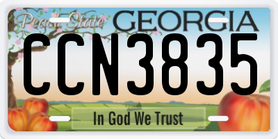 GA license plate CCN3835