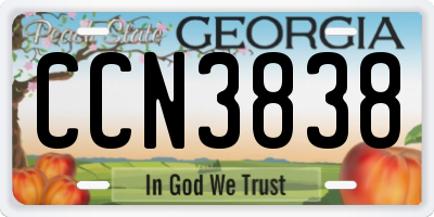 GA license plate CCN3838