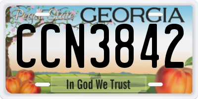 GA license plate CCN3842