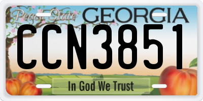 GA license plate CCN3851