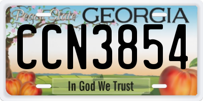 GA license plate CCN3854