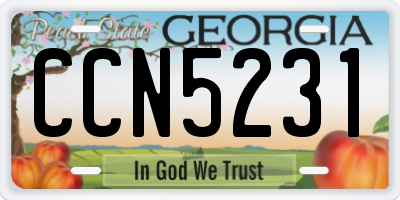 GA license plate CCN5231