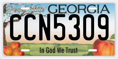 GA license plate CCN5309