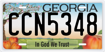GA license plate CCN5348