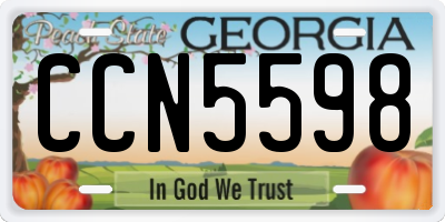 GA license plate CCN5598