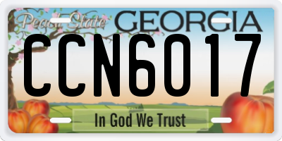 GA license plate CCN6017