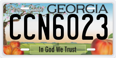 GA license plate CCN6023