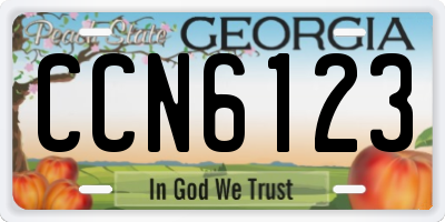 GA license plate CCN6123