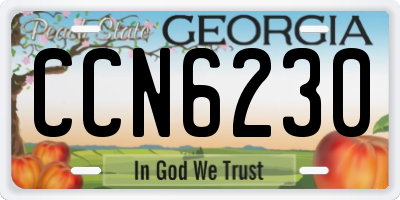 GA license plate CCN6230