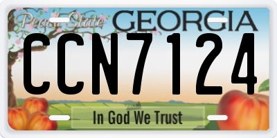 GA license plate CCN7124