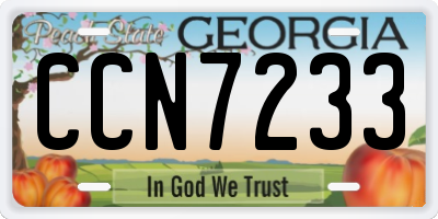 GA license plate CCN7233