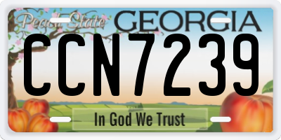 GA license plate CCN7239