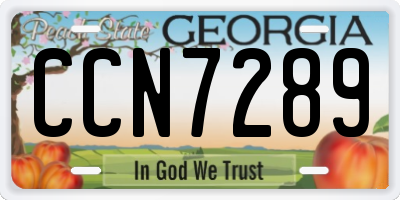 GA license plate CCN7289