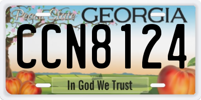 GA license plate CCN8124