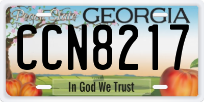 GA license plate CCN8217