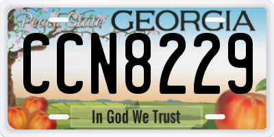 GA license plate CCN8229