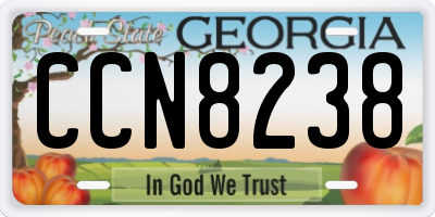 GA license plate CCN8238