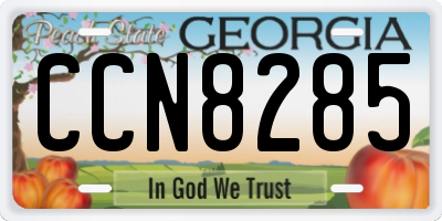 GA license plate CCN8285