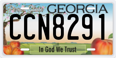 GA license plate CCN8291