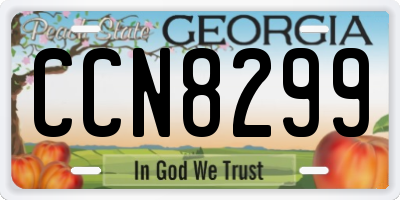 GA license plate CCN8299