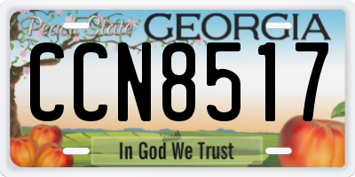 GA license plate CCN8517