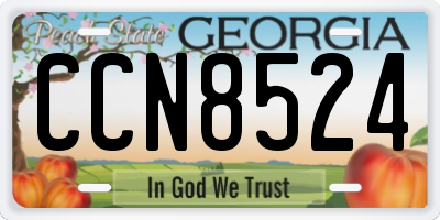 GA license plate CCN8524