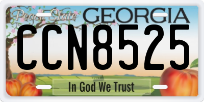 GA license plate CCN8525