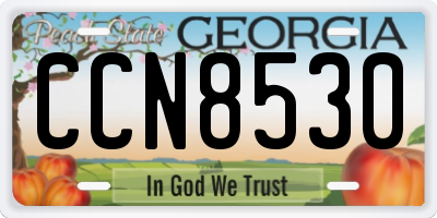 GA license plate CCN8530