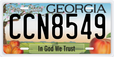 GA license plate CCN8549