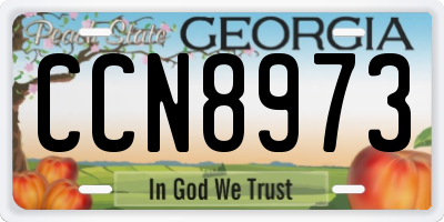 GA license plate CCN8973