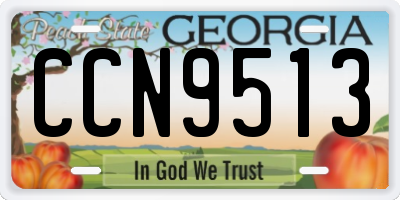 GA license plate CCN9513