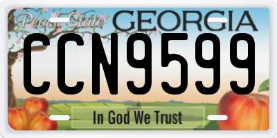 GA license plate CCN9599
