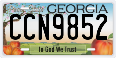 GA license plate CCN9852