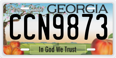 GA license plate CCN9873