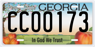 GA license plate CCO0173