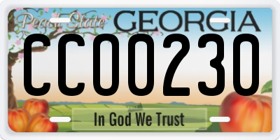 GA license plate CCO0230
