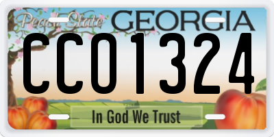 GA license plate CCO1324