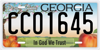 GA license plate CCO1645