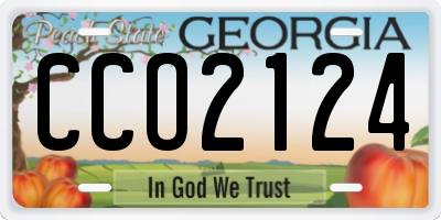 GA license plate CCO2124