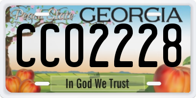 GA license plate CCO2228