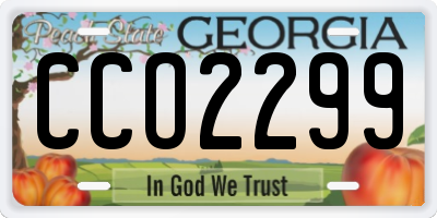 GA license plate CCO2299