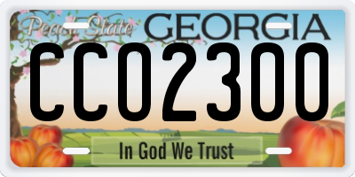 GA license plate CCO2300